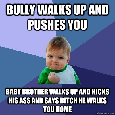 bully walks up and pushes you  baby brother walks up and kicks his ass and says bitch he walks you home  Success Kid