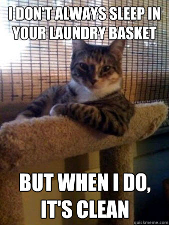I don't always sleep in your laundry basket But when I do, it's clean   The Most Interesting Cat in the World