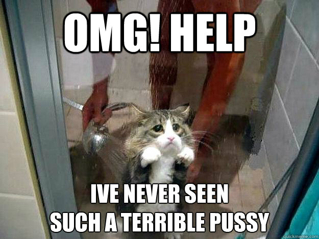 OMG! Help ive never seen 
such a terrible pussy  Shower kitty