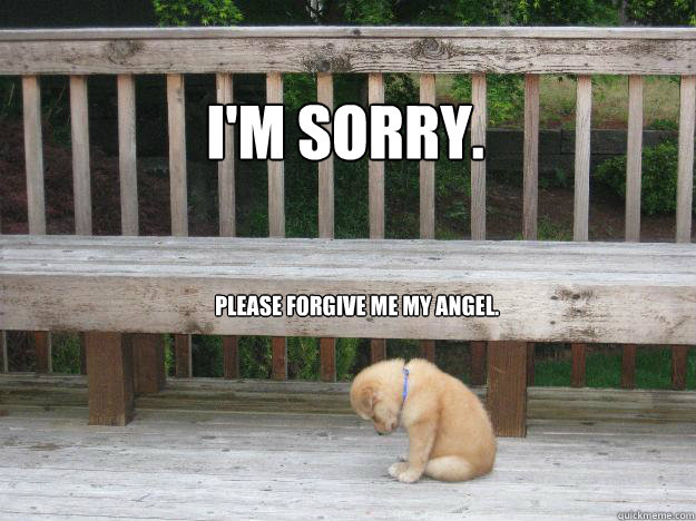 I'm sorry. Please forgive me my Angel.  Sorry