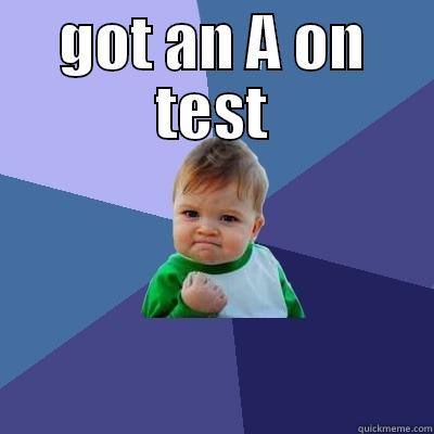 GOT AN A ON TEST  Success Kid