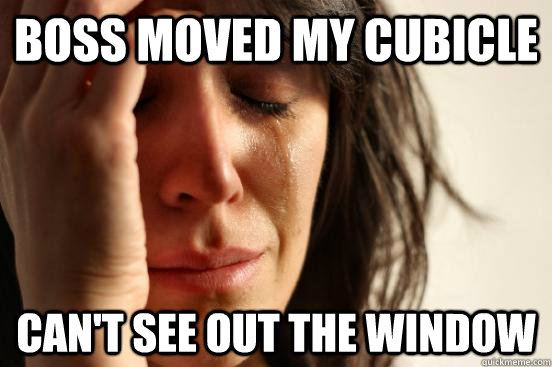 Boss moved my cubicle Can't see out the window  First World Problems