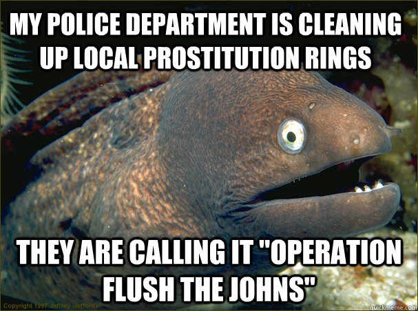 My police department is cleaning up local prostitution rings They are calling it 