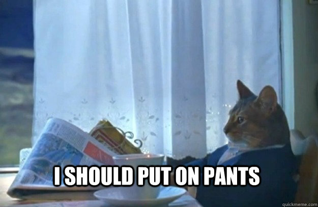 I should put on pants  Sophisticated Cat