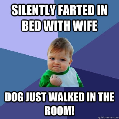Silently farted in bed with wife dog just walked in the room! - Silently farted in bed with wife dog just walked in the room!  Success Kid