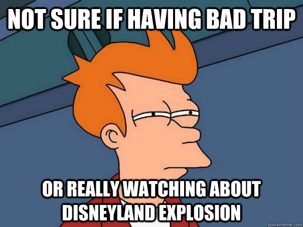 Not sure if having bad trip or really watching about disneyland explosion  Futurama Fry