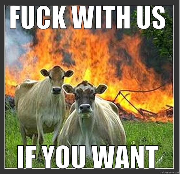 FUCK WITH US IF YOU WANT Evil cows