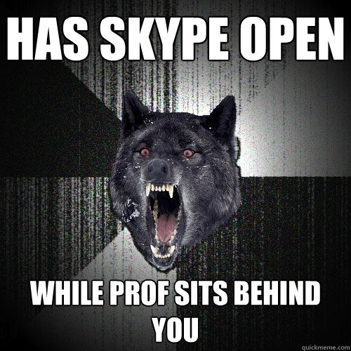 Has Skype Open
 WHILE PROF SITS BEHIND YOU
  Insanity Wolf