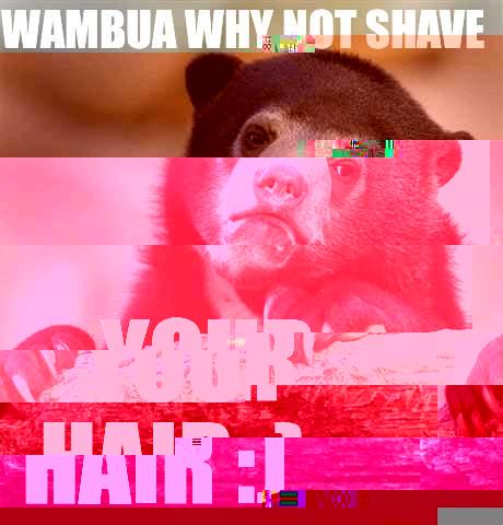 WAMBUA WHY NOT SHAVE  YOUR HAIR :) Confession Bear