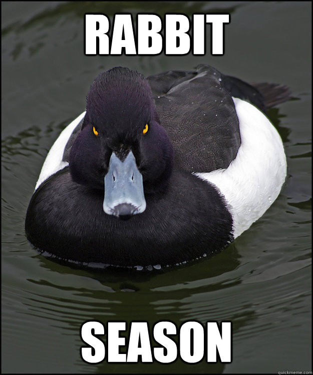 rabbit season - rabbit season  Angry Duck - Rabbit Season