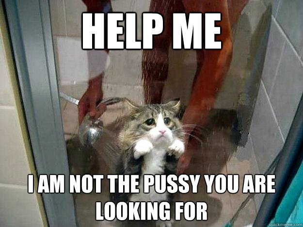 HELP ME I am not the pussy you are looking for  Shower kitty