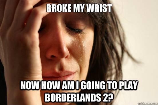 broke my wrist now how am i going to play borderlands 2?  FirstWorldProblems