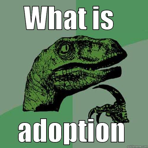 WHAT IS  ADOPTION Philosoraptor