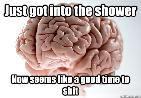 Just got into the shower Now seems like a good time to shit   Scumbag Brain