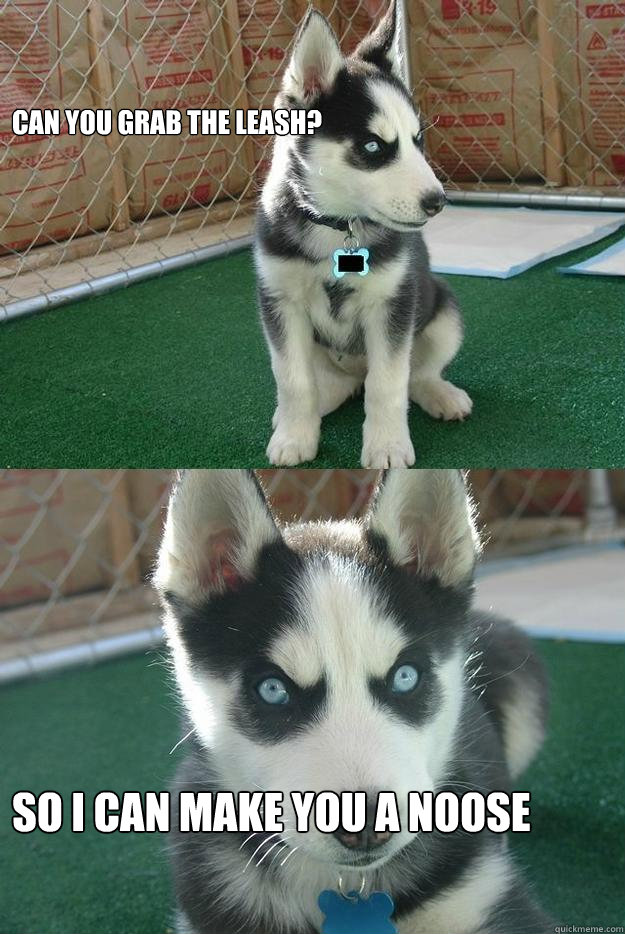 Can you grab the leash? So I can make you a noose  Insanity puppy