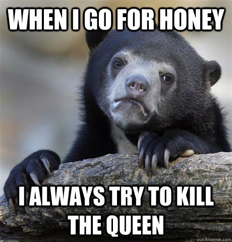 When I go for honey I always try to kill the queen  Confession Bear