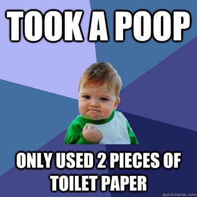 Took a poop only used 2 pieces of toilet paper  Success Kid