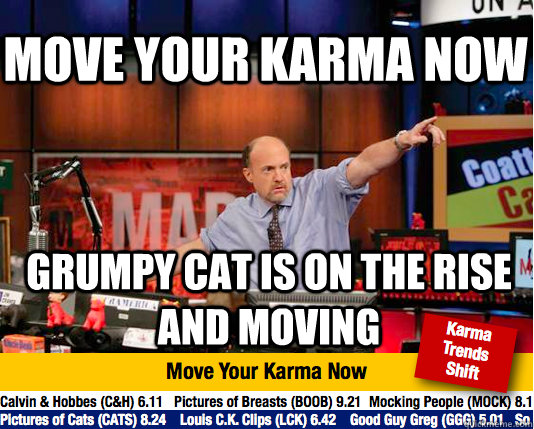 move your karma now grumpy cat is on the rise and moving  Mad Karma with Jim Cramer