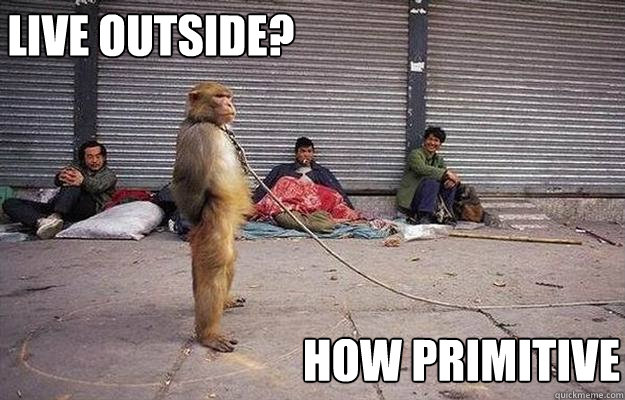 live outside? how primitive   Superior Monkey
