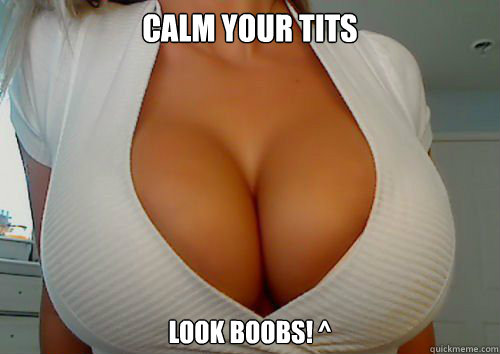 Calm your tits look boobs! ^ - Calm your tits look boobs! ^  Friends are like boobs.