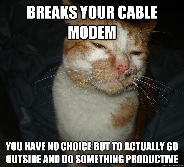 breaks your cable modem you have no choice but to actually go outside and do something productive  Cool Cat Craig