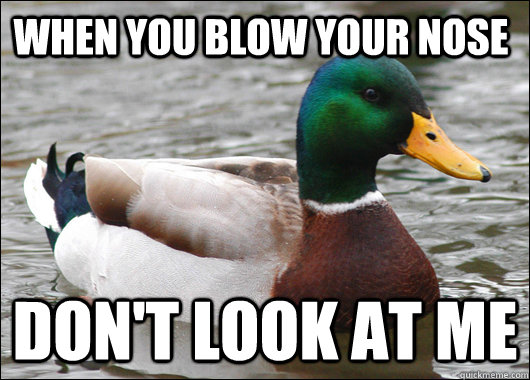 When you blow your nose Don't Look at me  Actual Advice Mallard