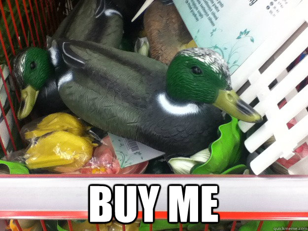  BUY ME  Actual Advice Mallard