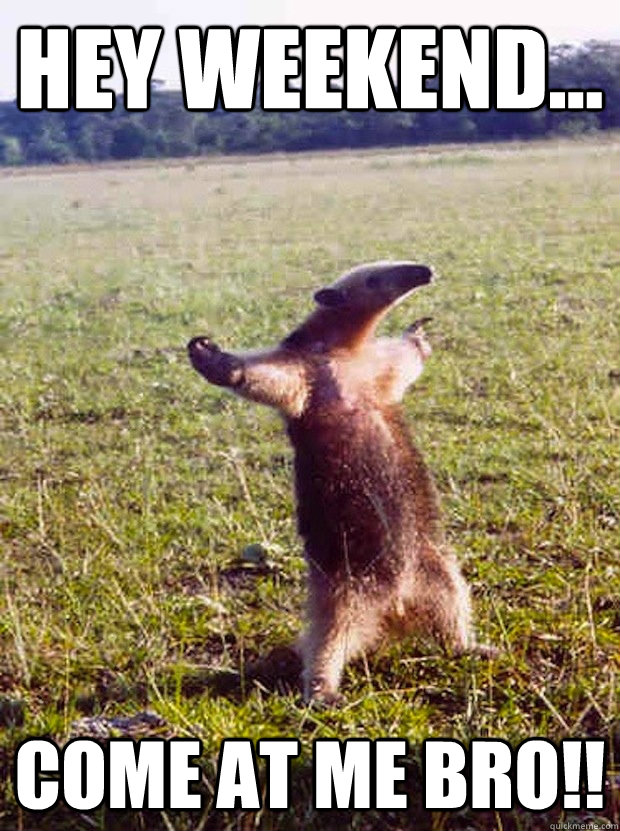 Hey weekend... Come at me bro!! - Hey weekend... Come at me bro!!  Weekend Bro!