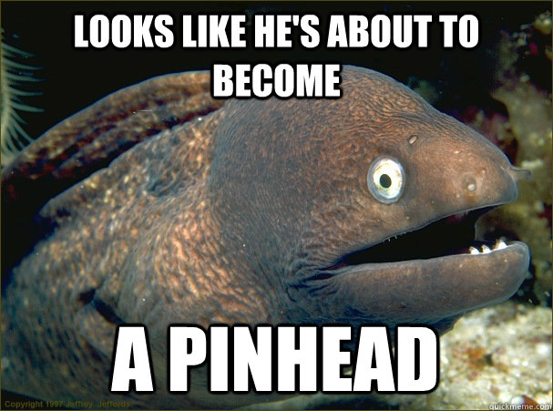 Looks like he's about to become a pinhead  Bad Joke Eel