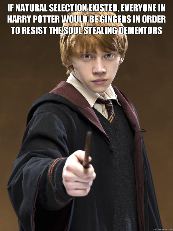 if natural selection existed, everyone in harry potter would be gingers in order to resist the soul stealing dementors  - if natural selection existed, everyone in harry potter would be gingers in order to resist the soul stealing dementors   Ron Weasley