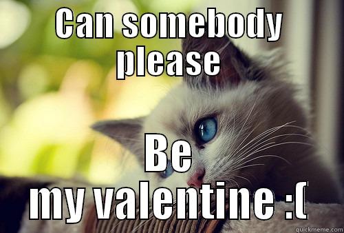CAN SOMEBODY PLEASE BE MY VALENTINE :( First World Problems Cat