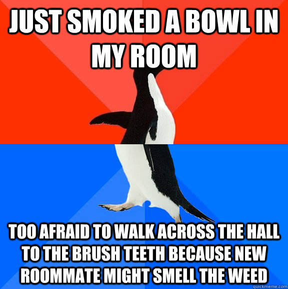 just smoked a bowl in my room too afraid to walk across the hall to the brush teeth because new roommate might smell the weed  Socially Awesome Awkward Penguin