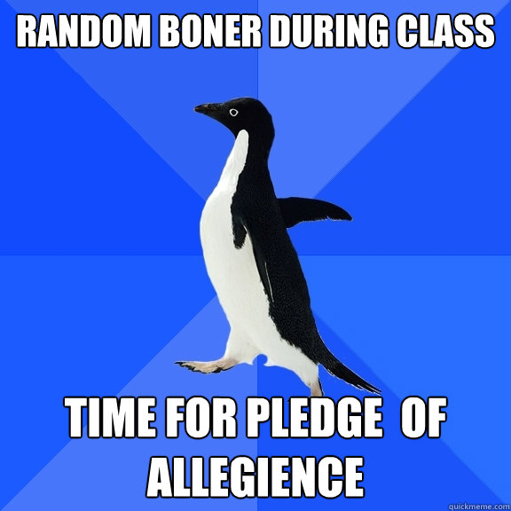 random boner during class time for pledge  of allegience  Socially Awkward Penguin