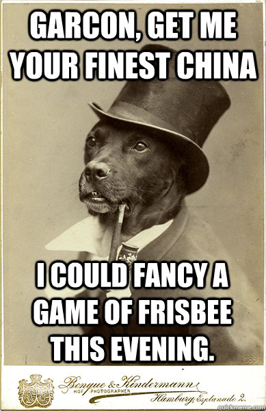 Garcon, get me your finest china I could fancy a game of frisbee this evening.  Old Money Dog