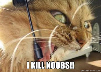 I KILL NOOBS!!  Angry Gamer Cat