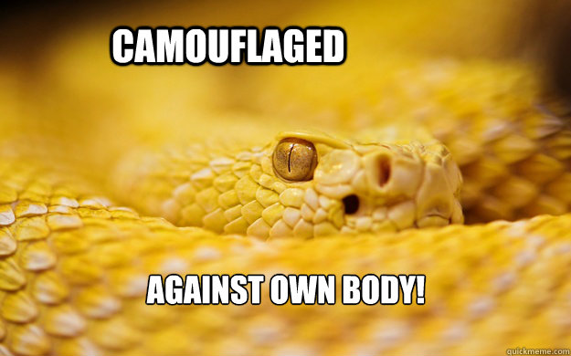 camouflaged against own body! - camouflaged against own body!  Sneaky Snake