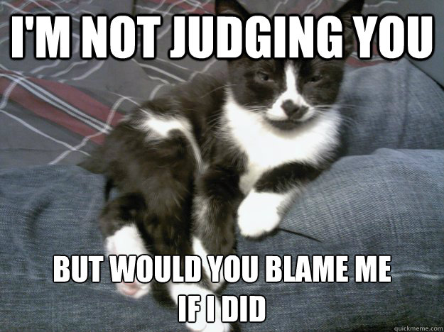 I'm not judging you but would you blame me 
if I did - I'm not judging you but would you blame me 
if I did  Judging Cat