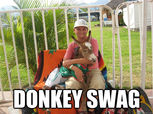 Donkey swag  - Donkey swag   Donkey Kid