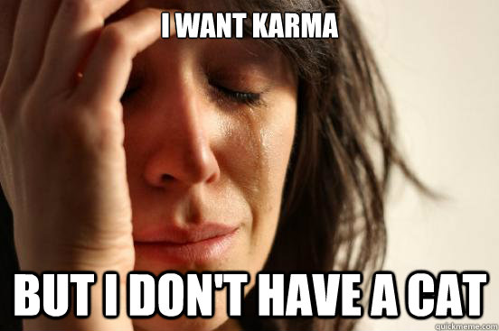 I want karma but I don't have a cat  First World Problems