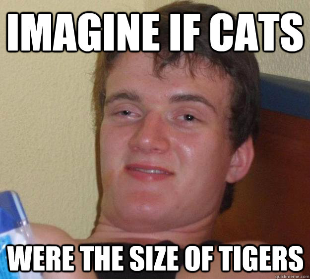 Imagine if cats were the size of tigers  10 Guy