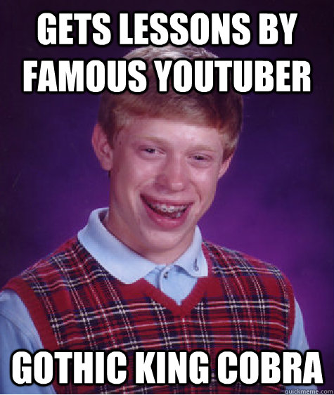 Gets lessons by famous youtuber Gothic king cobra - Gets lessons by famous youtuber Gothic king cobra  Bad Luck Brian