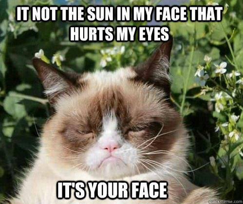 It not the sun in my face that hurts my eyes It's your face  - It not the sun in my face that hurts my eyes It's your face   Grumpy Cat