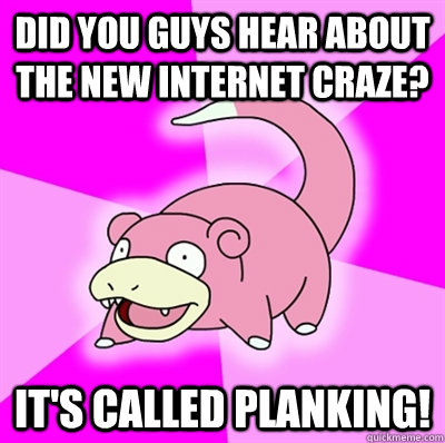 did you guys hear about the new internet craze? it's called planking!  