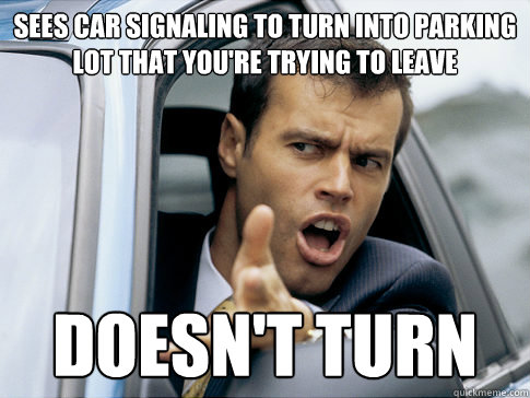 sees car signaling to turn into parking lot that you're trying to leave doesn't turn - sees car signaling to turn into parking lot that you're trying to leave doesn't turn  Asshole driver
