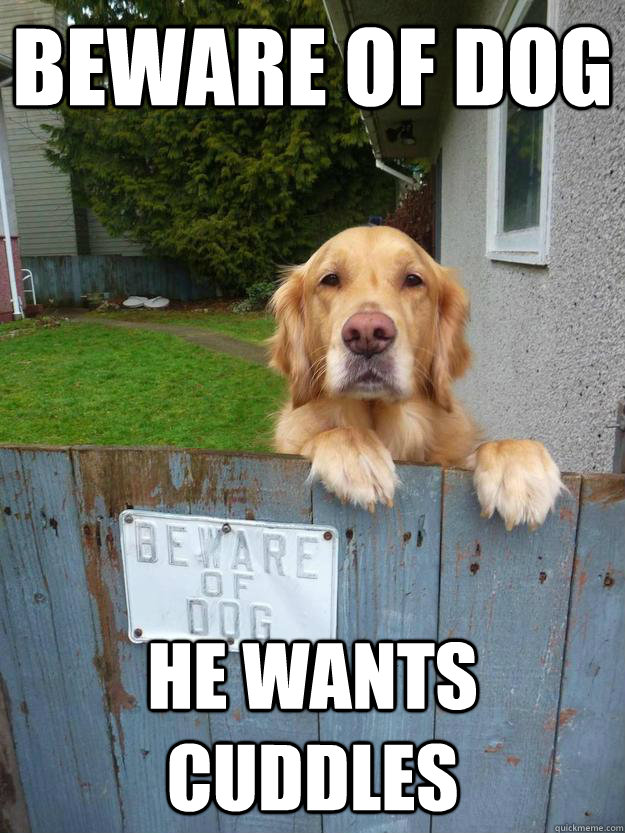 BEWARE OF DOG HE WANTS CUDDLES - BEWARE OF DOG HE WANTS CUDDLES  Misc
