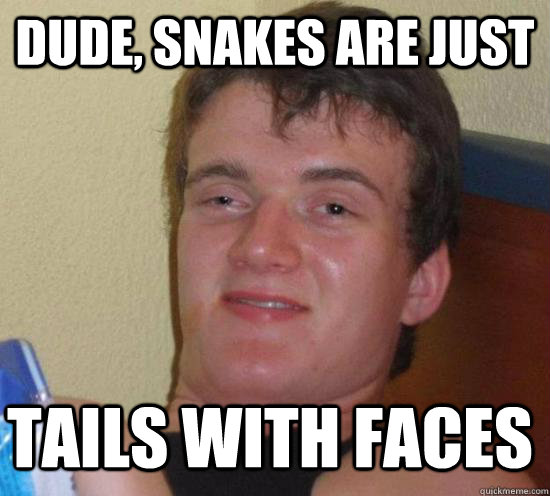 dude, snakes are just tails with faces - dude, snakes are just tails with faces  Misc