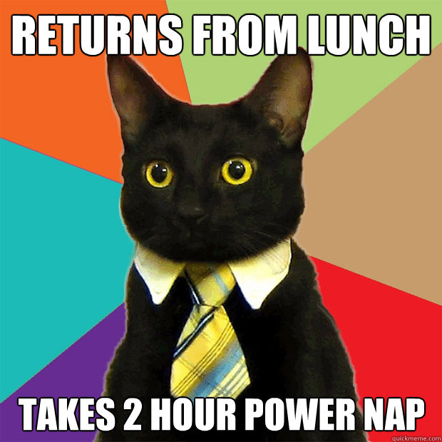 returns from lunch takes 2 hour power nap - returns from lunch takes 2 hour power nap  Business Cat