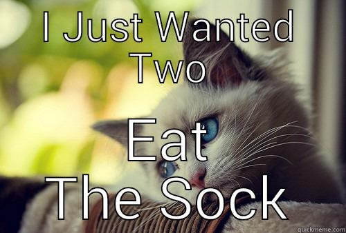 I JUST WANTED TWO EAT THE SOCK First World Problems Cat