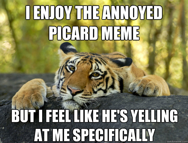 I enjoy the annoyed picard meme but i feel like he's yelling at me specifically  Confession Tiger