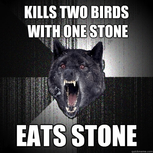 kills two birds
 with one stone eats stone  Insanity Wolf